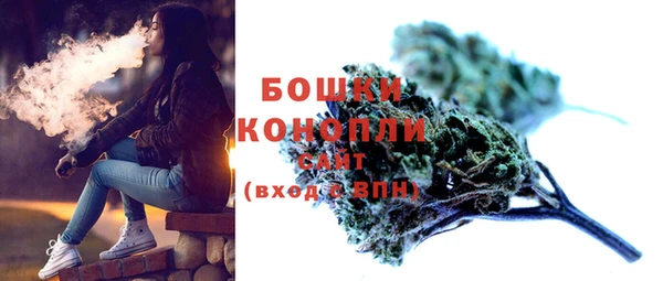 стафф Богданович