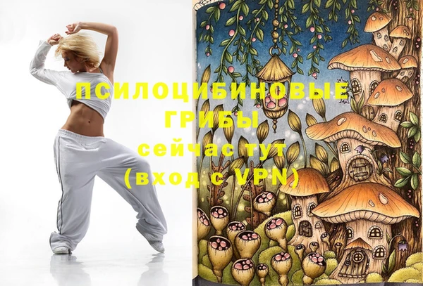 стафф Богданович