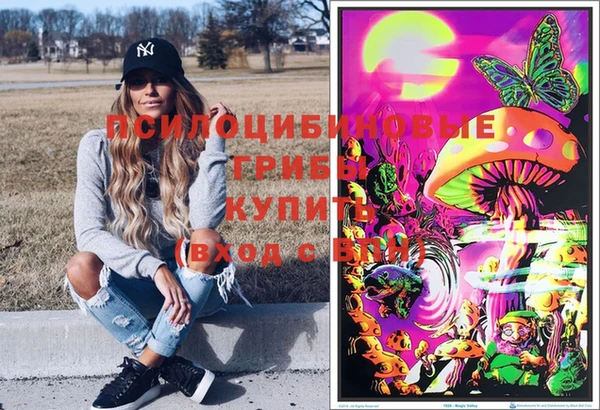 стафф Богданович