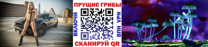 Купить  Гаврилов-Ям  Псилоцибиновые грибы Psilocybe 