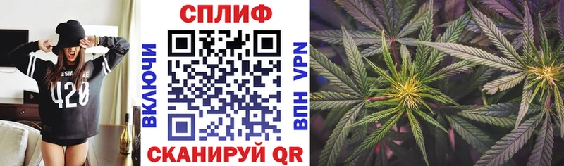 Каннабис AK-47  Купить закладки  Гаврилов-Ям 